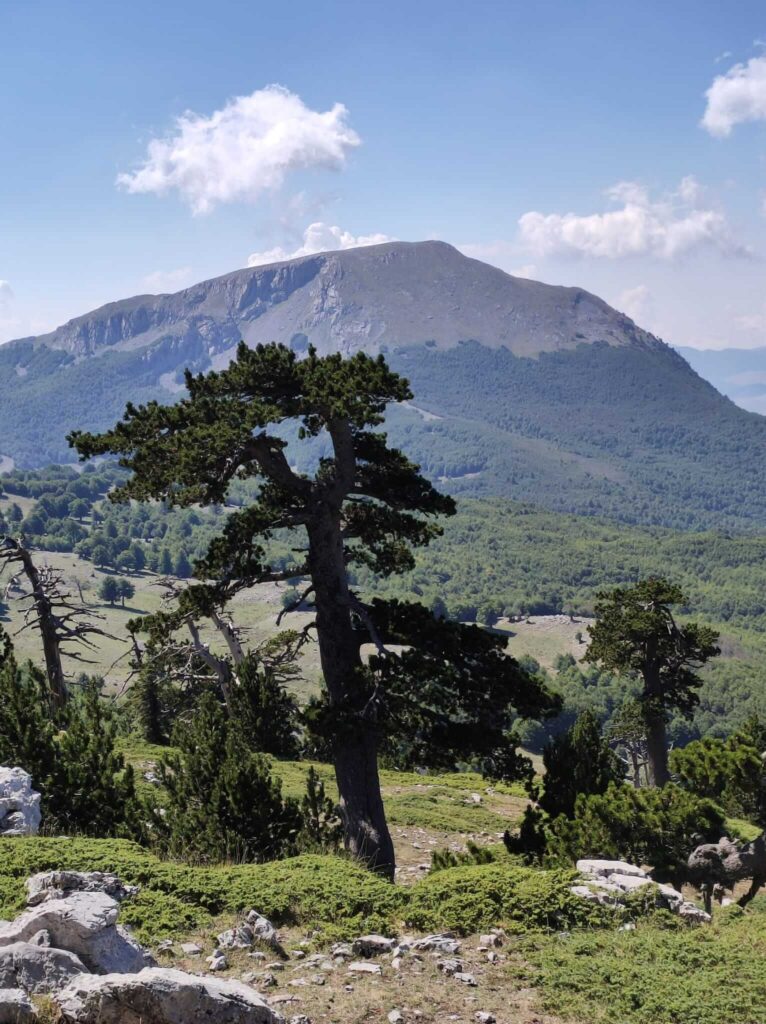 Vista panoramica sulle montagne del Parco Nazionale del Pollino, scenario perfetto per ritiri ed esperienze turistiche incentrate su natura e benessere
